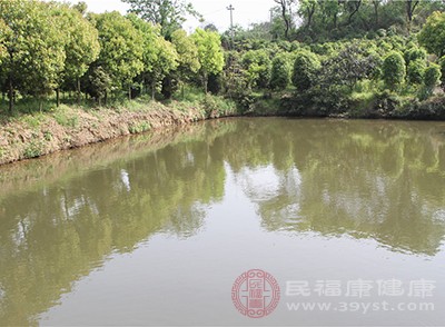选择适合自己的游泳场所